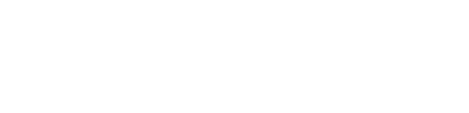 Экспресс почта